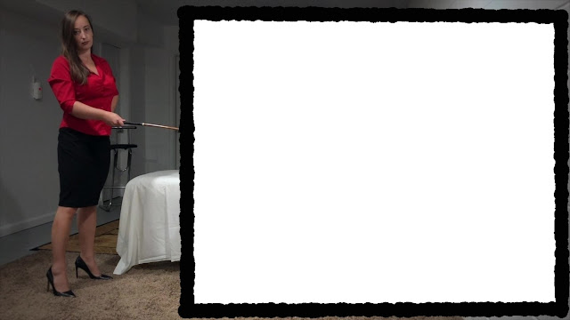 Professional Disciplinarian