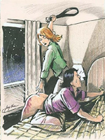 Professional Disciplinarian