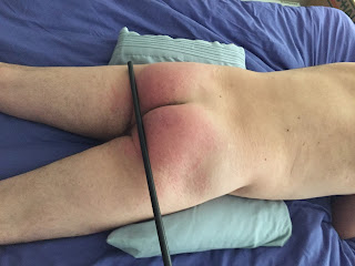 Professional Disciplinarian canes