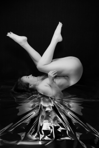 Fine art model